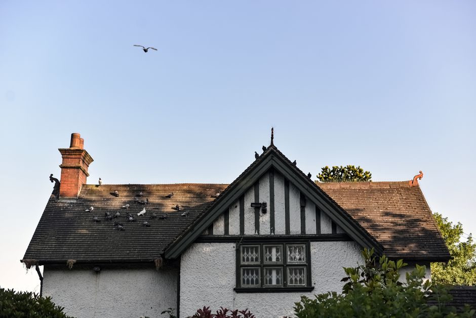 A picturesque half-timbered house with pigeons on the roof under a clear sky.