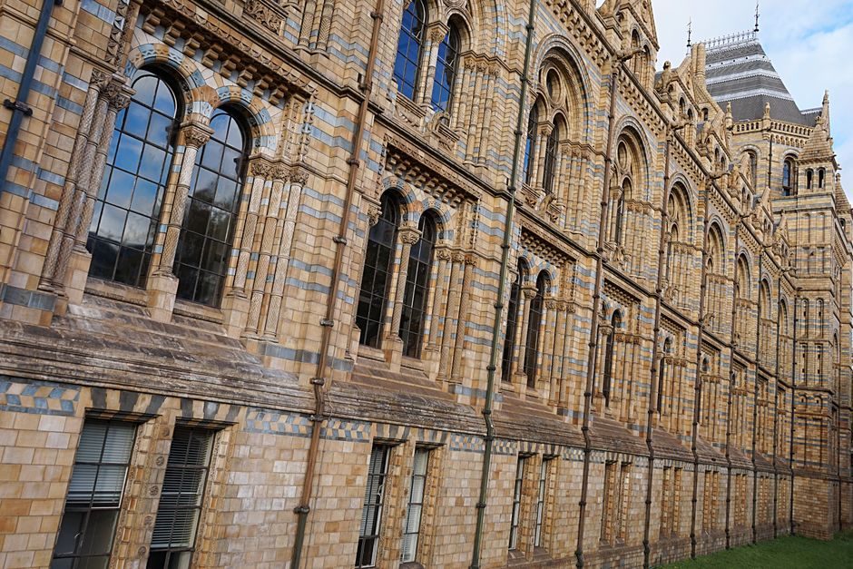 Stunning Gothic Revival facade of the Natural History Museum in London, showcasing intricate brickwork and windows.
