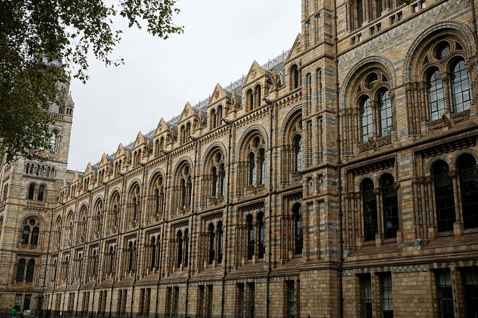 Stunning view of the Natural History Museum's architectural facade in London, capturing intricate details.